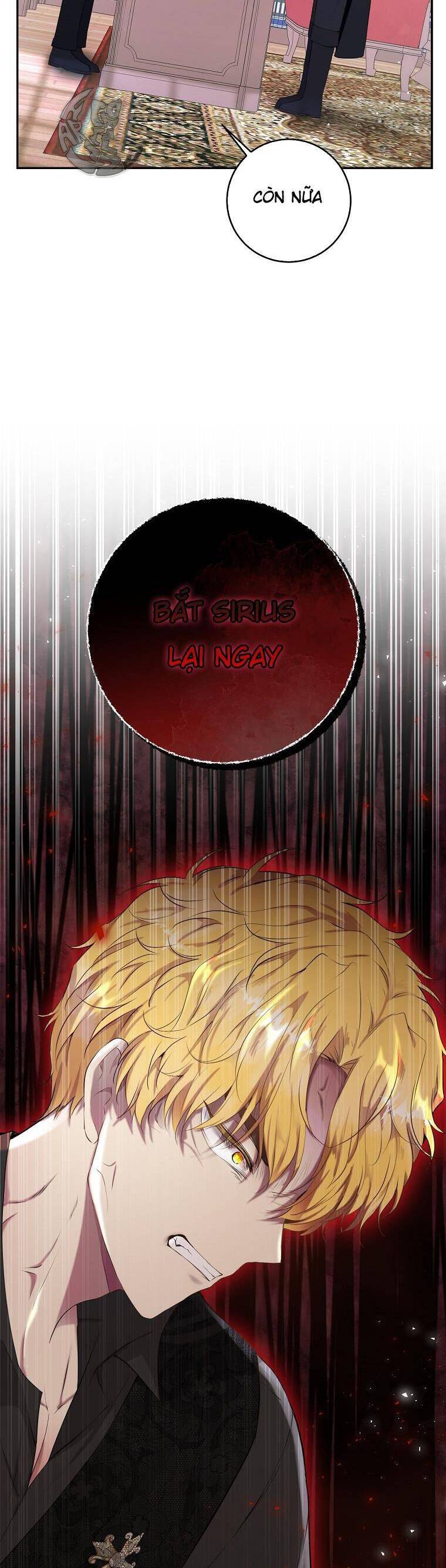 Sóc Con Tài Năng Chapter 35 - Trang 2