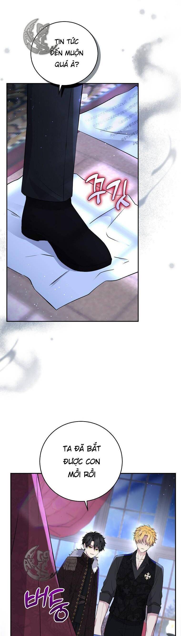 Sóc Con Tài Năng Chapter 35 - Trang 2