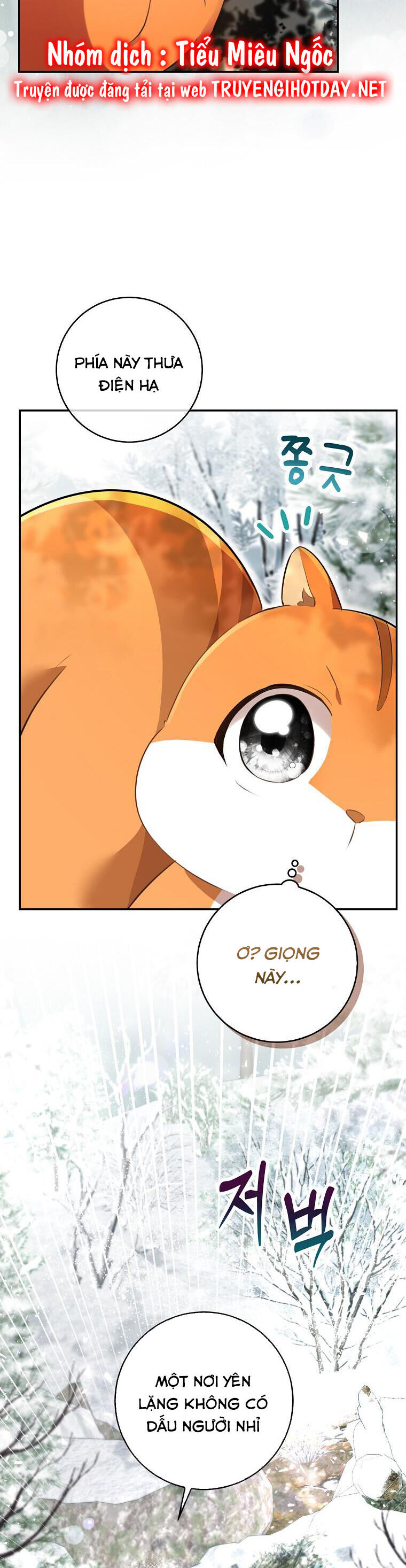 Sóc Con Tài Năng Chapter 48 - Trang 2