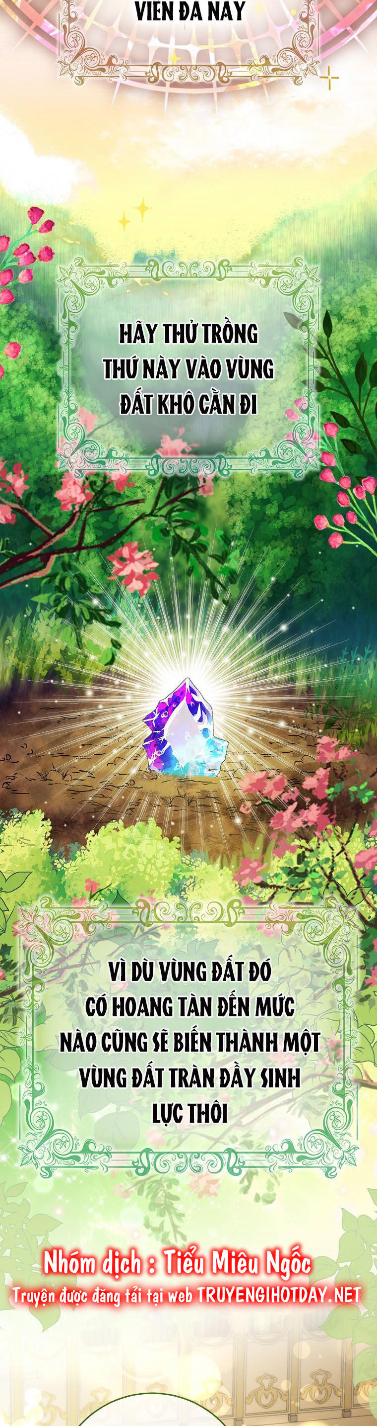 Sóc Con Tài Năng Chapter 49 - Trang 2