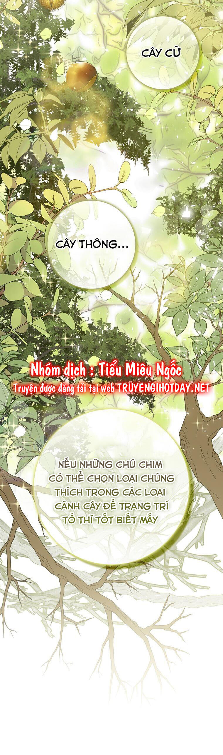 Sóc Con Tài Năng Chapter 51 - Trang 2