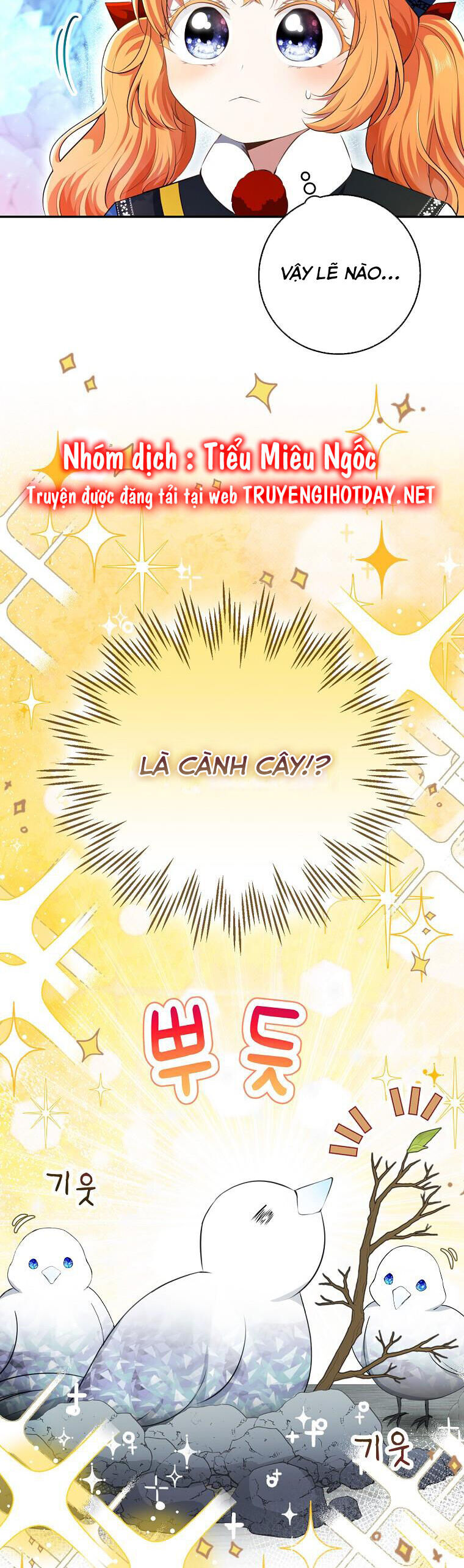 Sóc Con Tài Năng Chapter 51 - Trang 2