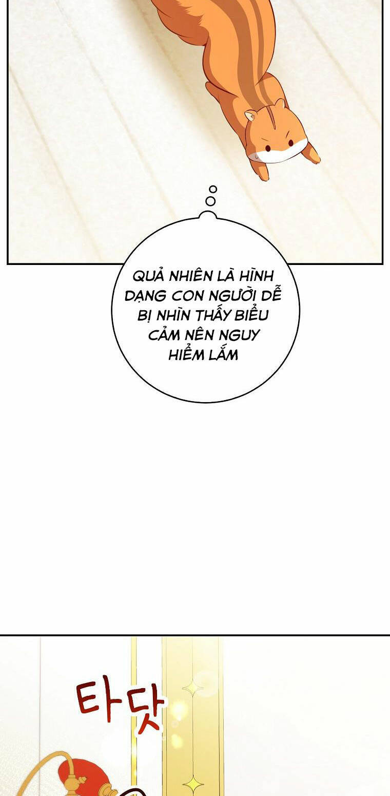 Sóc Con Tài Năng Chapter 52 - Trang 2