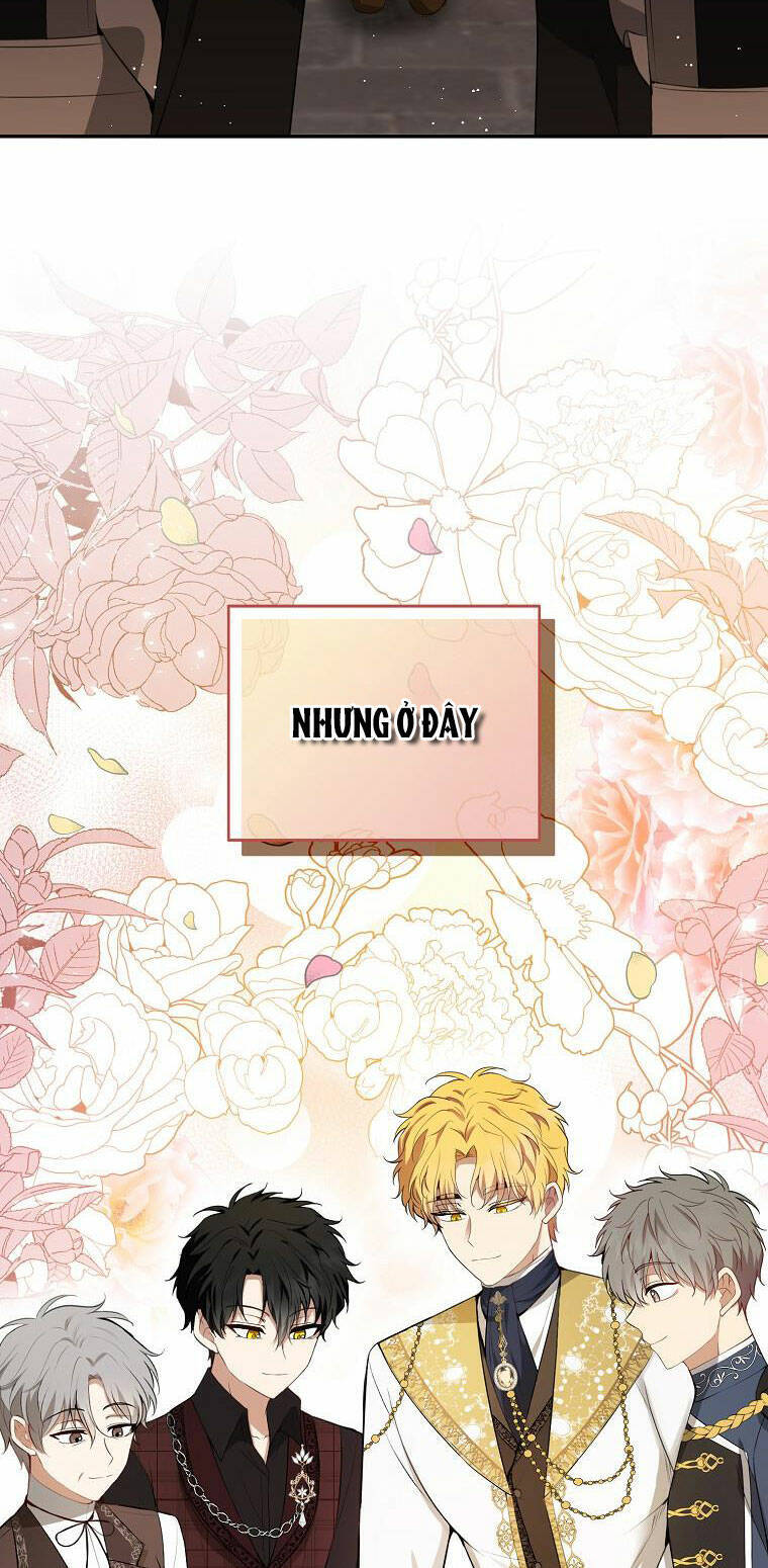 Sóc Con Tài Năng Chapter 52 - Trang 2