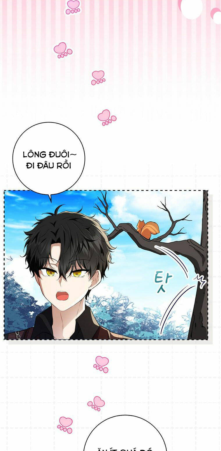 Sóc Con Tài Năng Chapter 52 - Trang 2