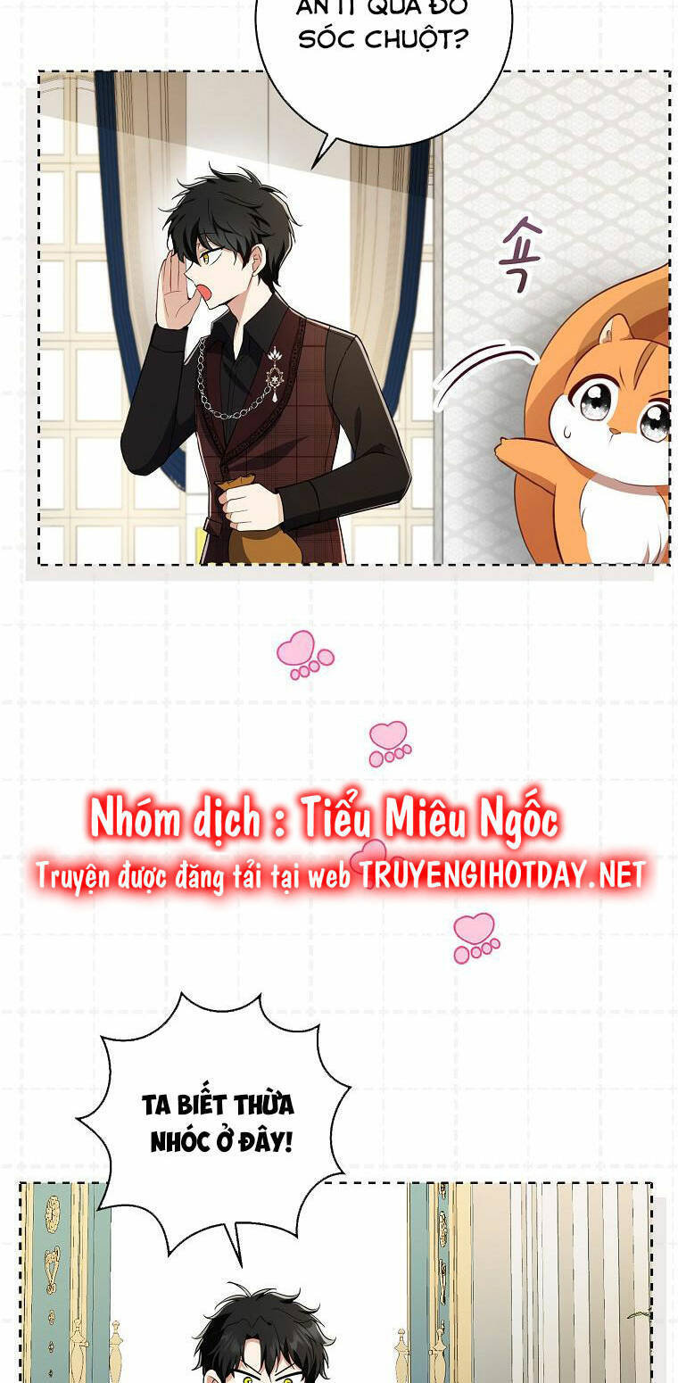 Sóc Con Tài Năng Chapter 52 - Trang 2