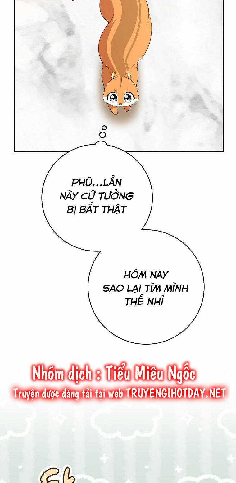 Sóc Con Tài Năng Chapter 52 - Trang 2