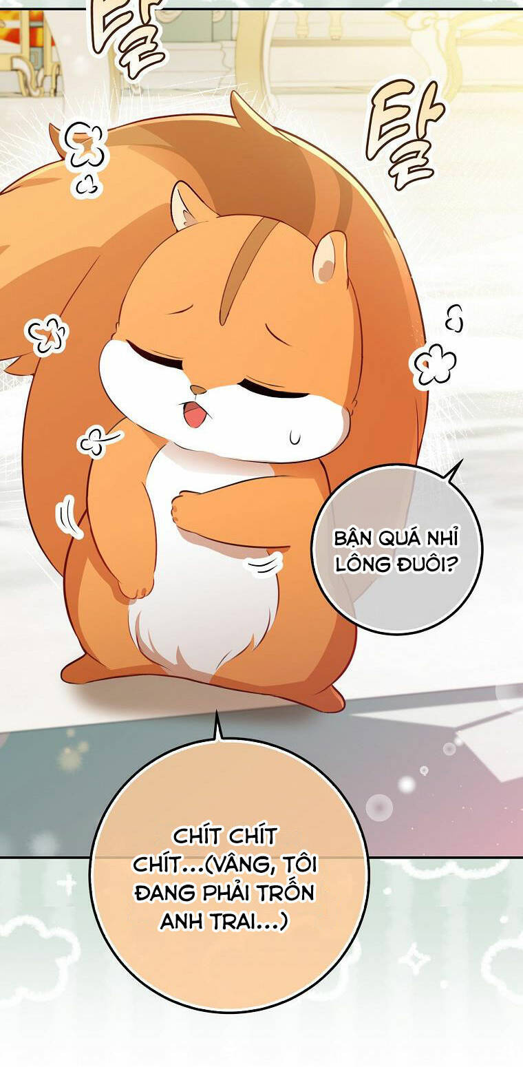 Sóc Con Tài Năng Chapter 52 - Trang 2