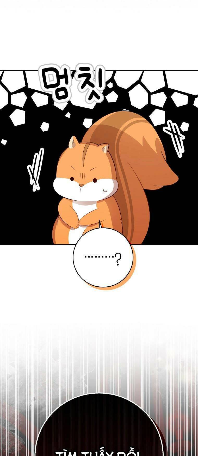 Sóc Con Tài Năng Chapter 52 - Trang 2