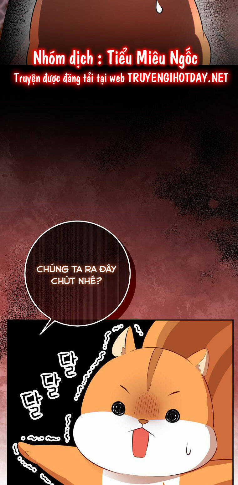 Sóc Con Tài Năng Chapter 52 - Trang 2