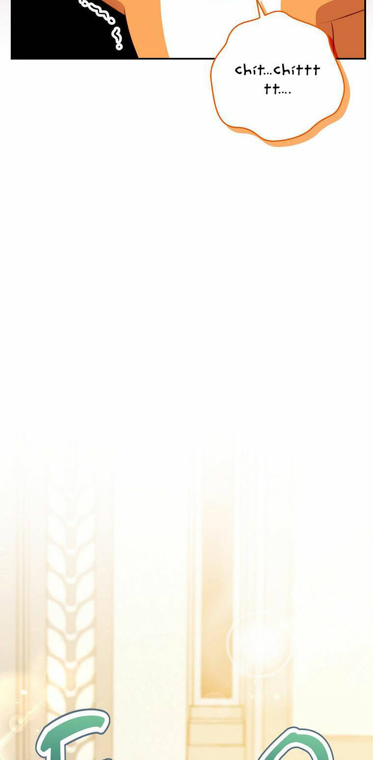 Sóc Con Tài Năng Chapter 52 - Trang 2