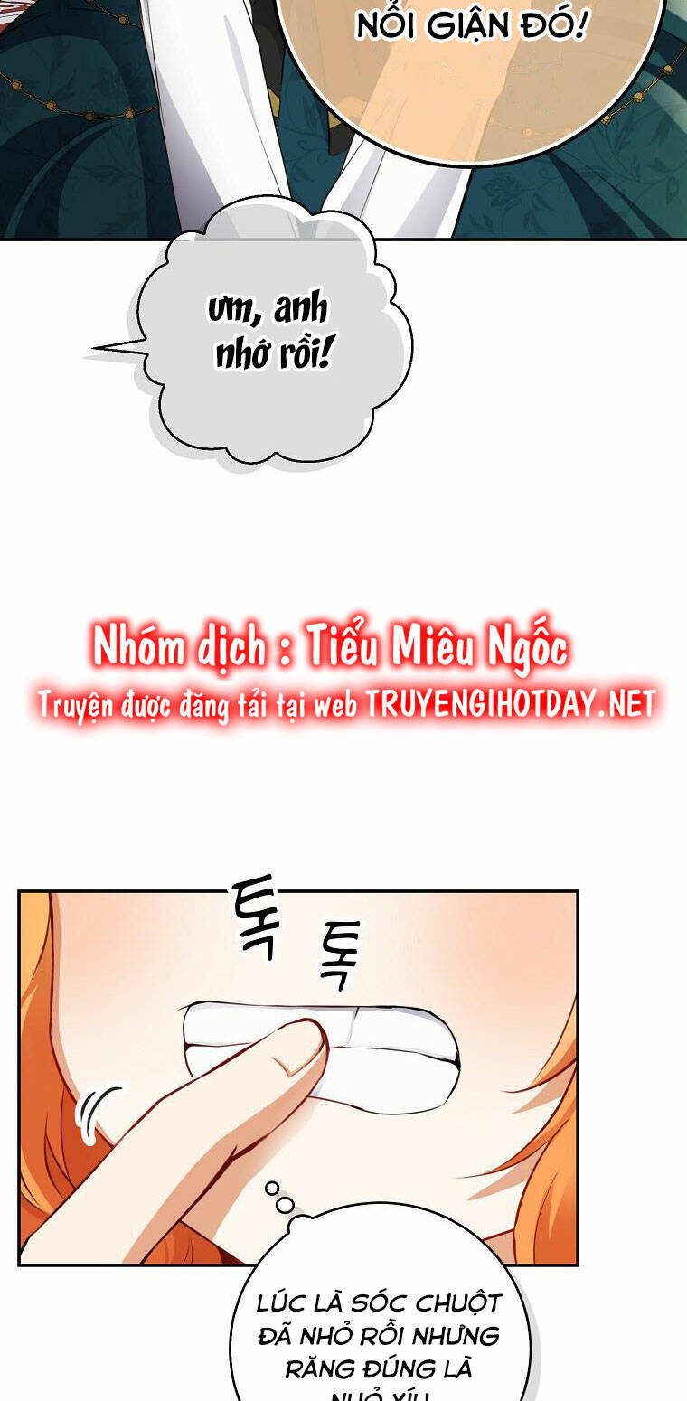 Sóc Con Tài Năng Chapter 52 - Trang 2