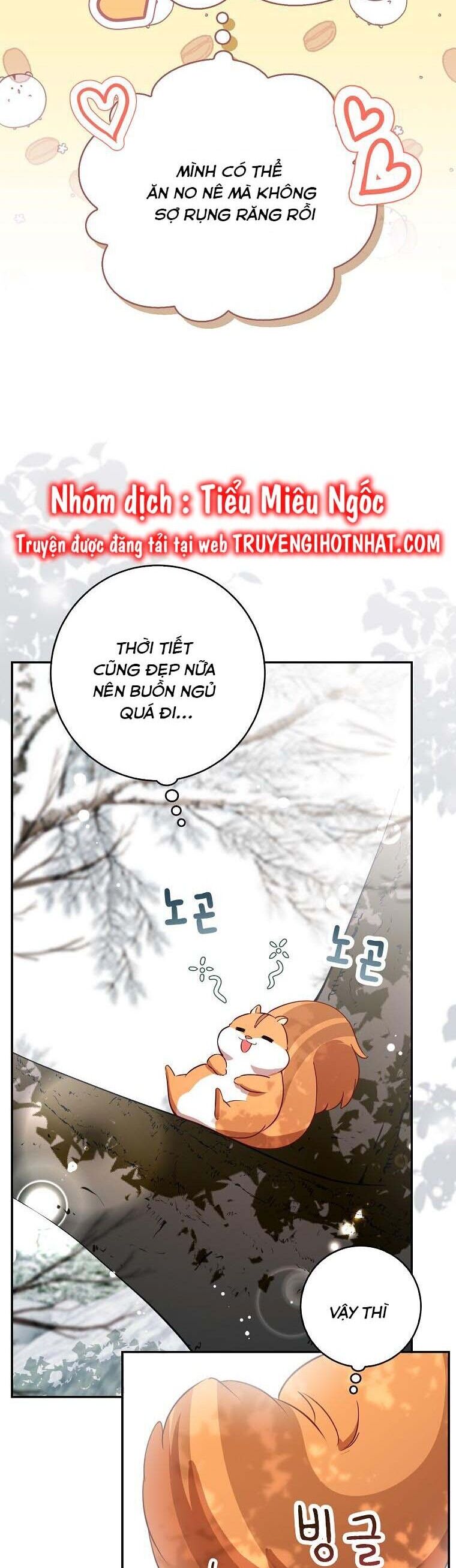 Sóc Con Tài Năng Chapter 53 - Trang 2