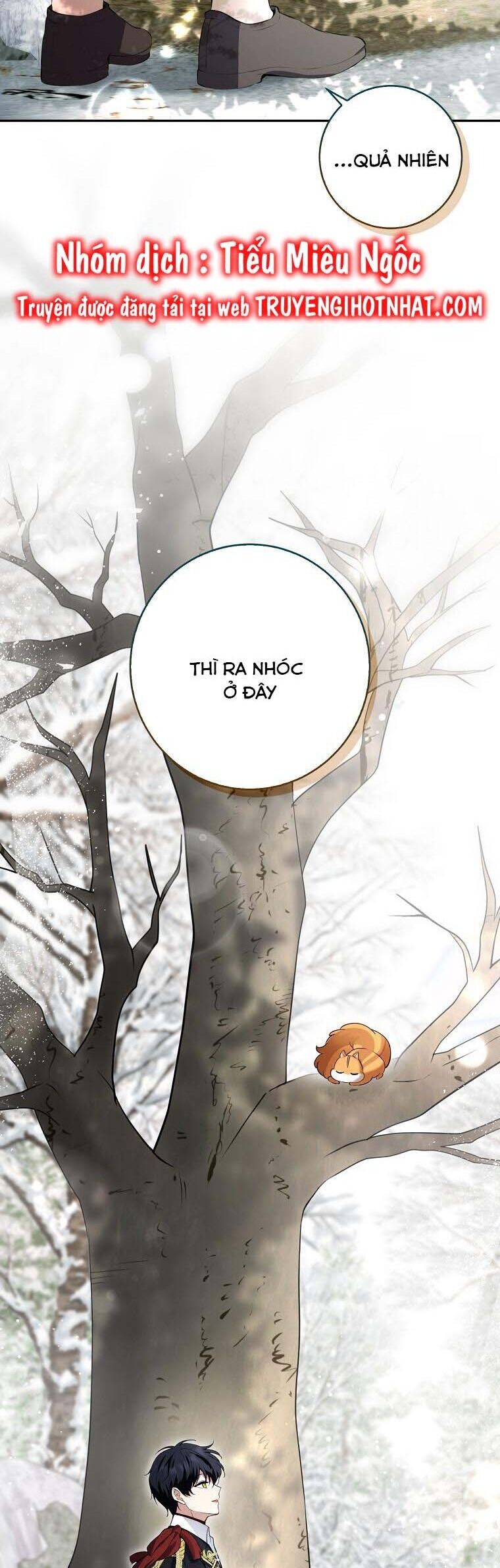 Sóc Con Tài Năng Chapter 53 - Trang 2