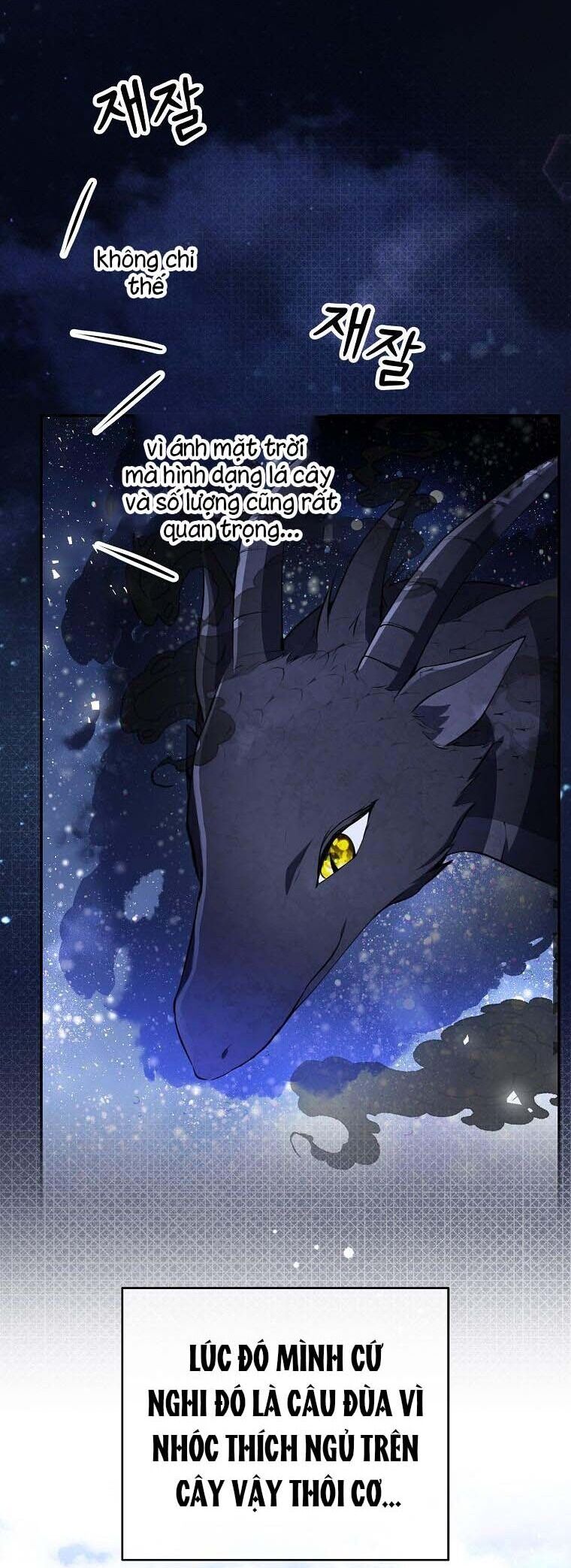 Sóc Con Tài Năng Chapter 53 - Trang 2