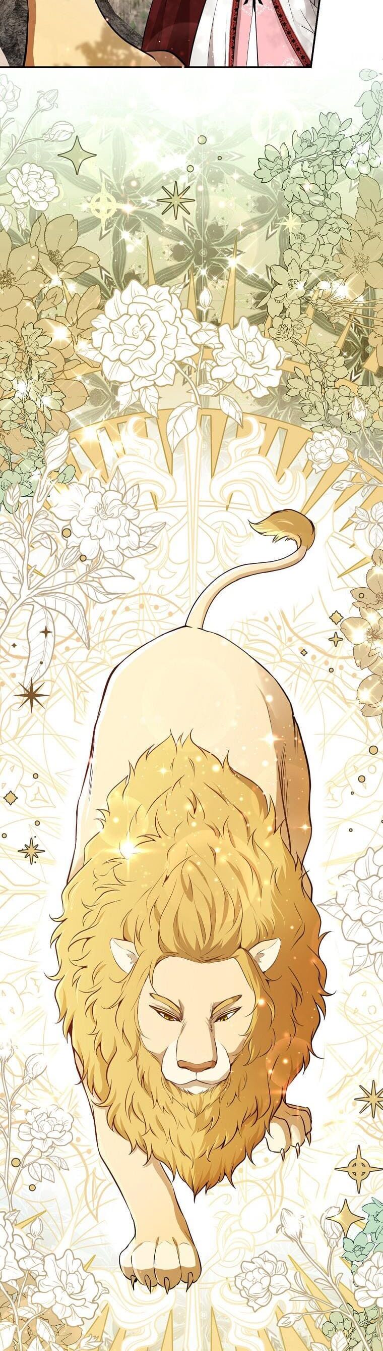 Sóc Con Tài Năng Chapter 61 - Trang 2