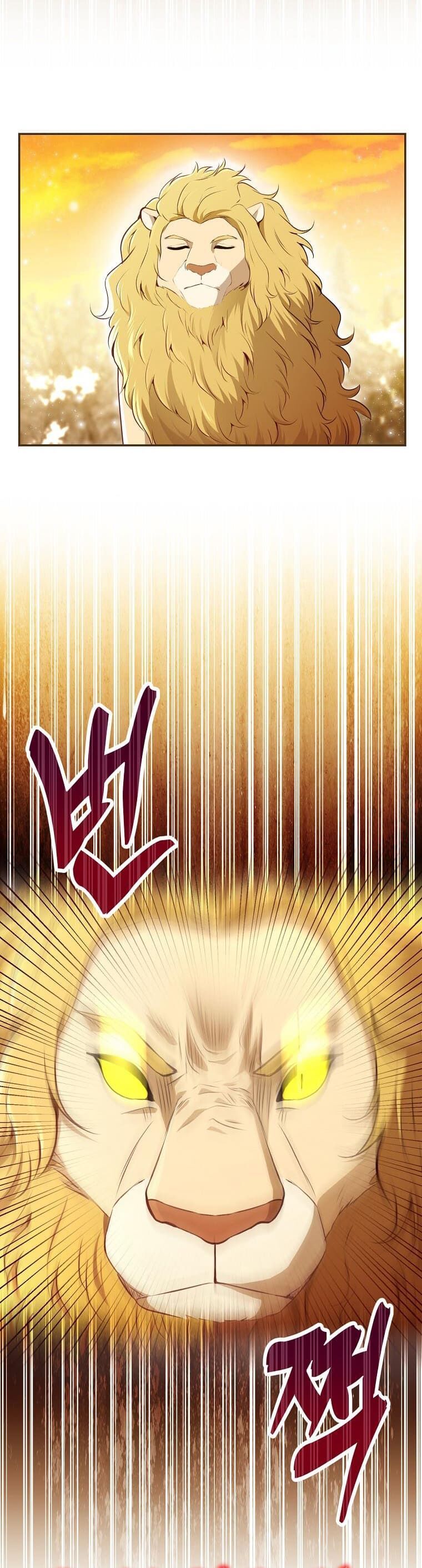 Sóc Con Tài Năng Chapter 61 - Trang 2