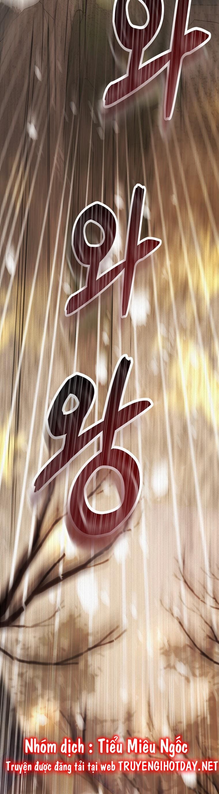 Sóc Con Tài Năng Chapter 61 - Trang 2