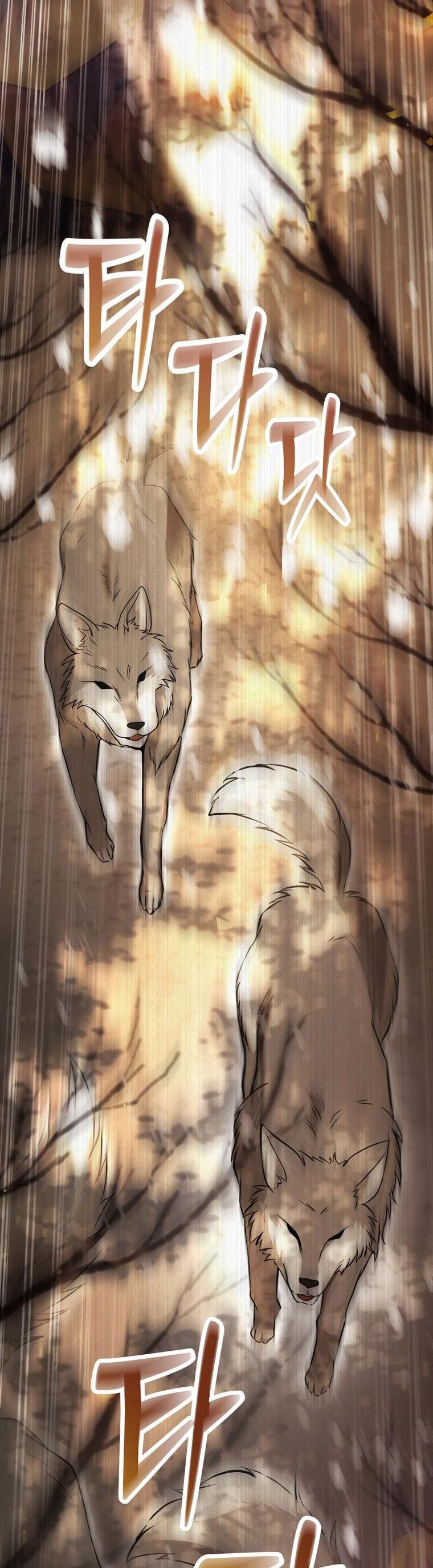 Sóc Con Tài Năng Chapter 61 - Trang 2