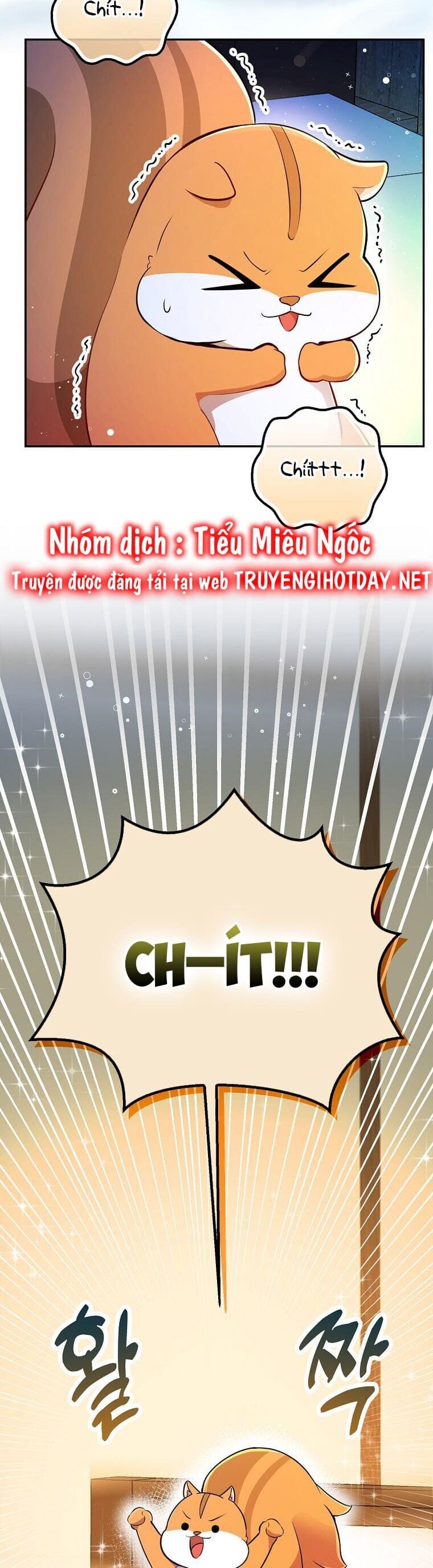 Sóc Con Tài Năng Chapter 61 - Trang 2