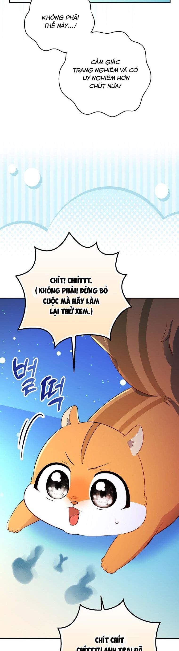 Sóc Con Tài Năng Chapter 61 - Trang 2