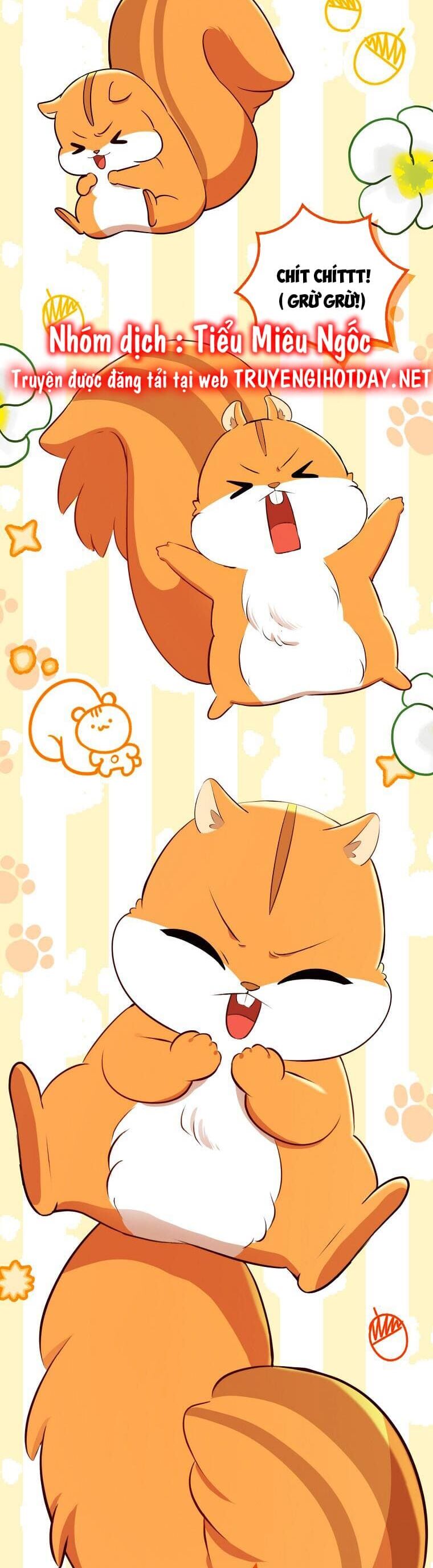 Sóc Con Tài Năng Chapter 61 - Trang 2