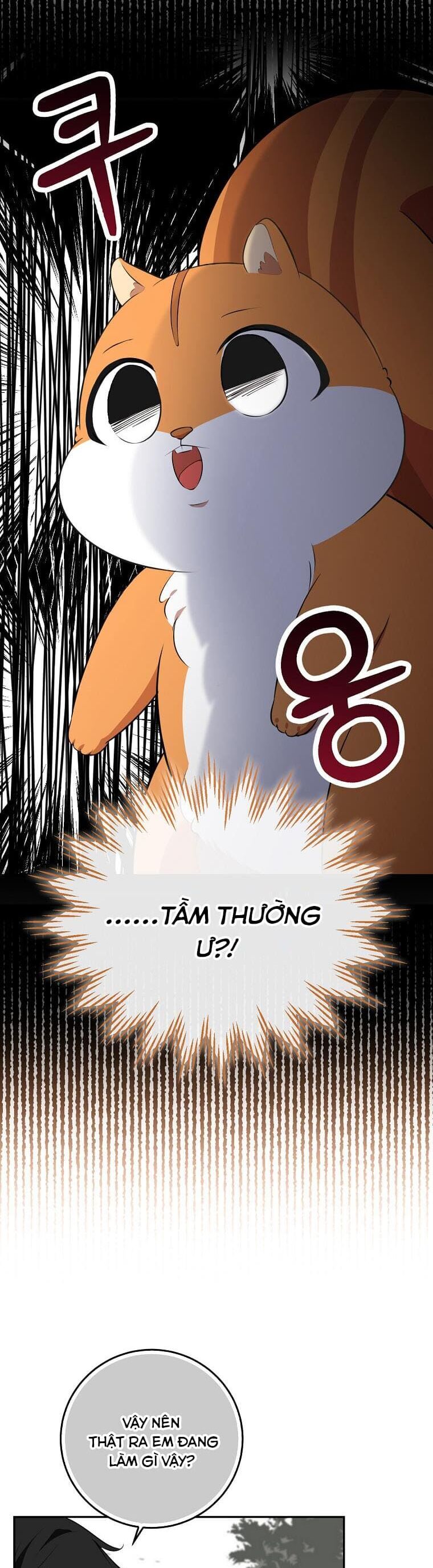 Sóc Con Tài Năng Chapter 61 - Trang 2