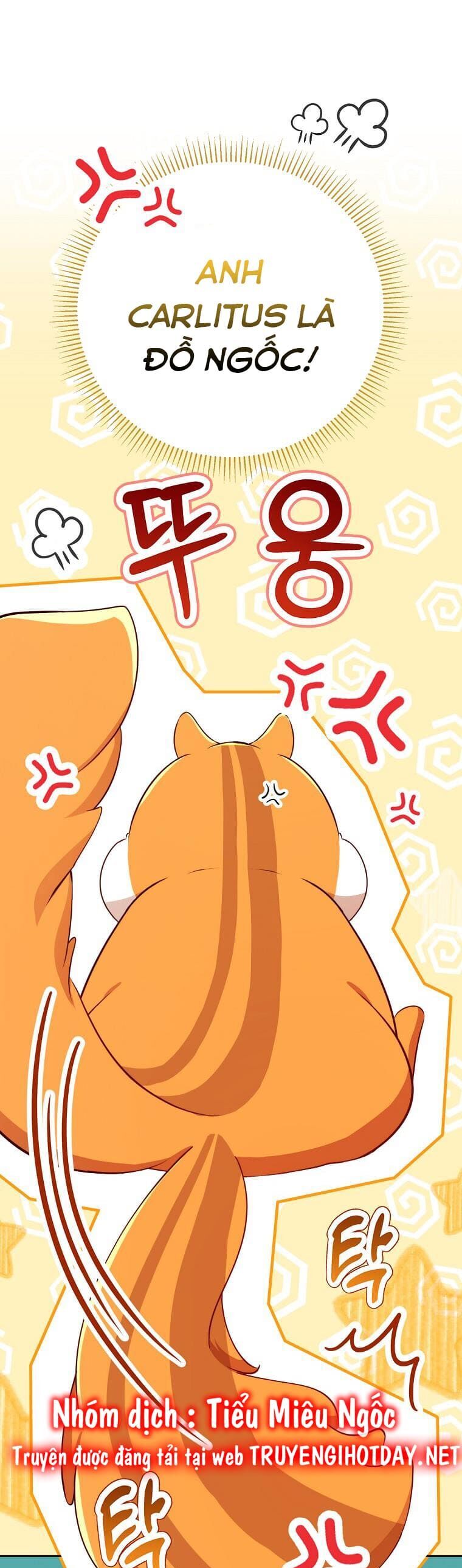 Sóc Con Tài Năng Chapter 61 - Trang 2