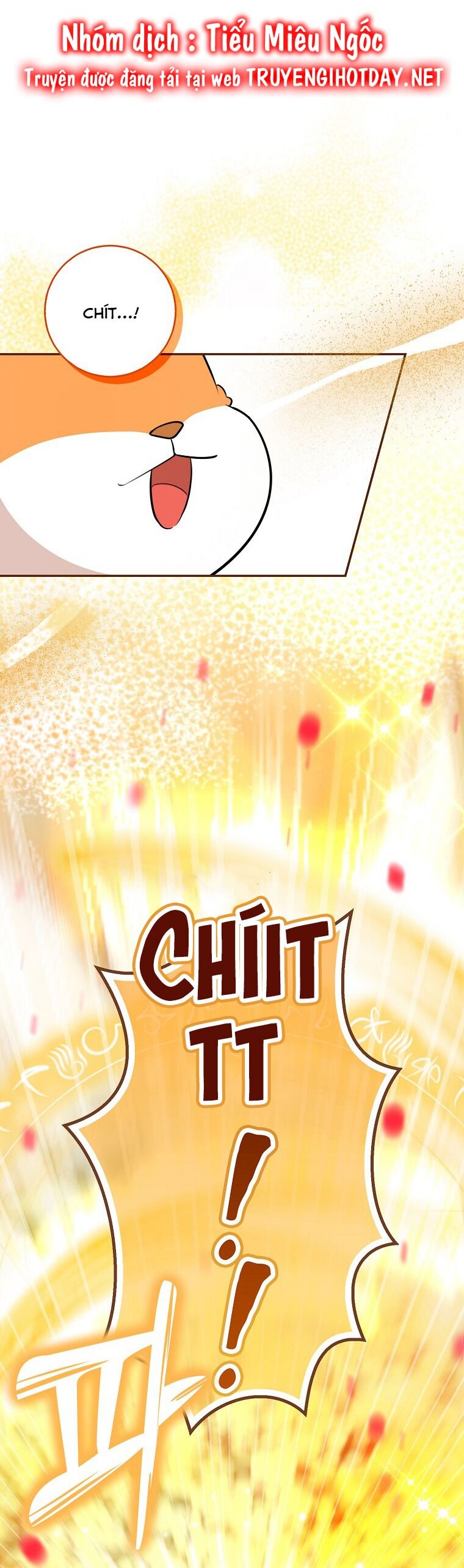 Sóc Con Tài Năng Chapter 62 - Trang 2