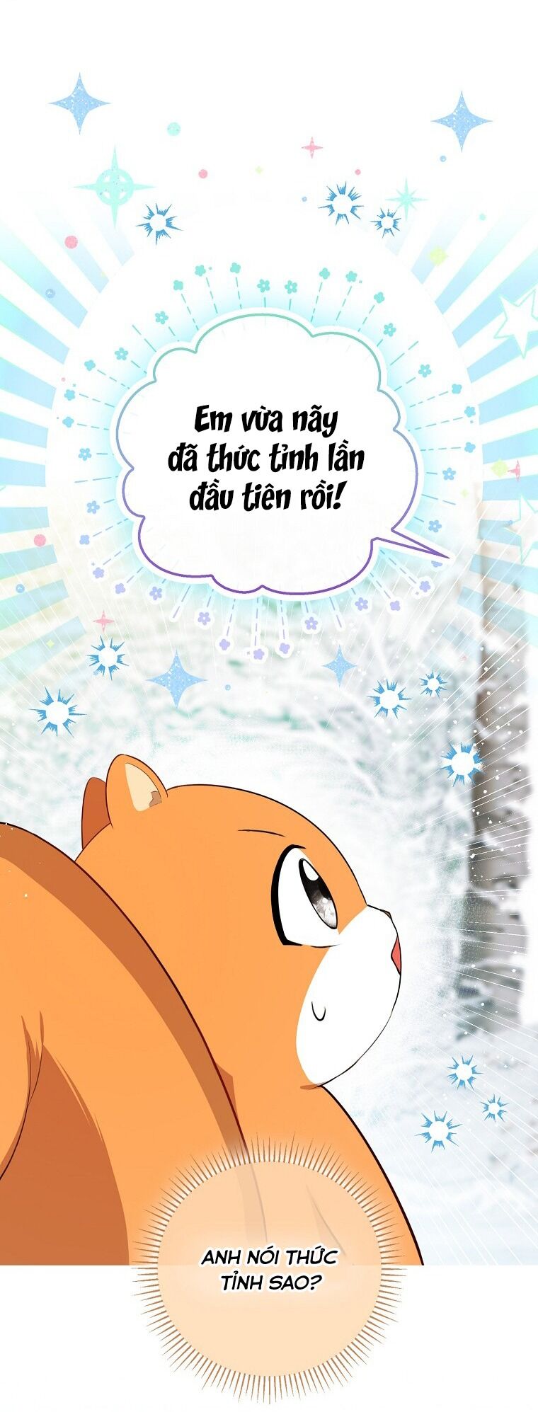 Sóc Con Tài Năng Chapter 62 - Trang 2