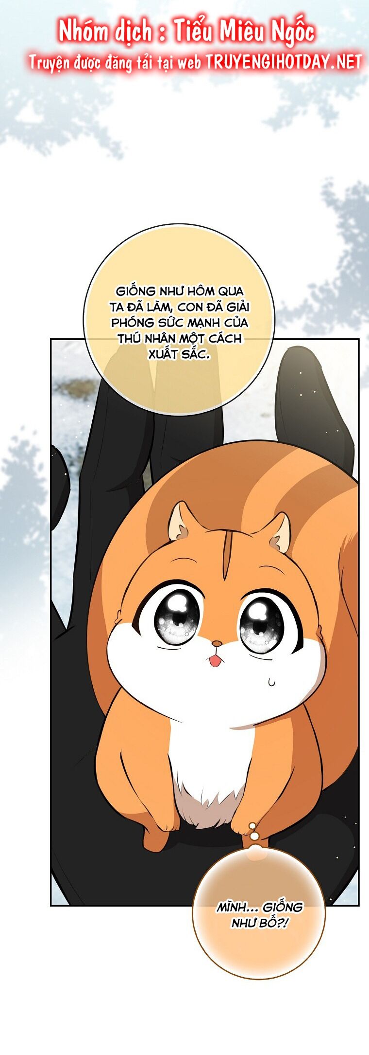 Sóc Con Tài Năng Chapter 62 - Trang 2