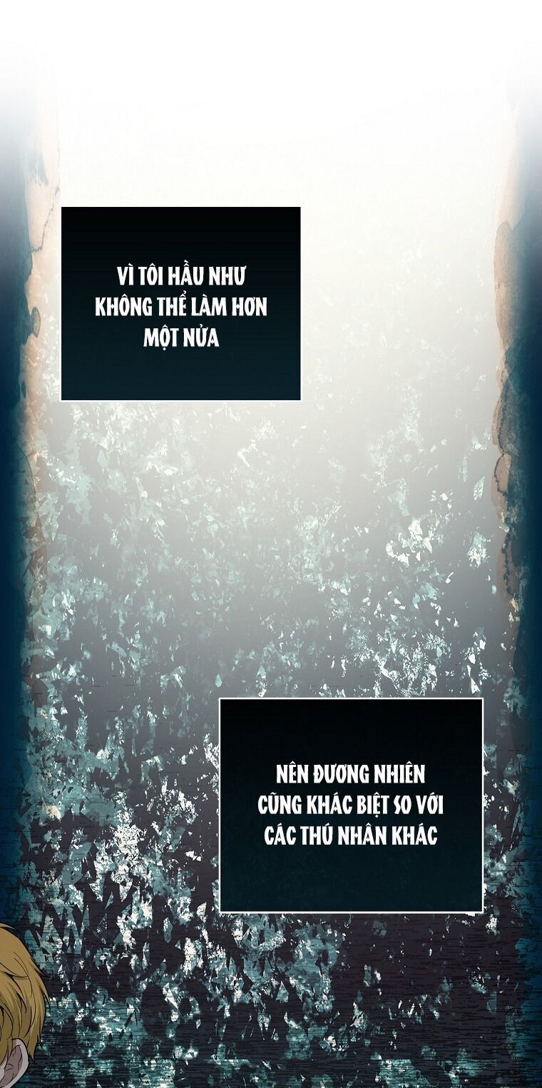 Sóc Con Tài Năng Chapter 62 - Trang 2