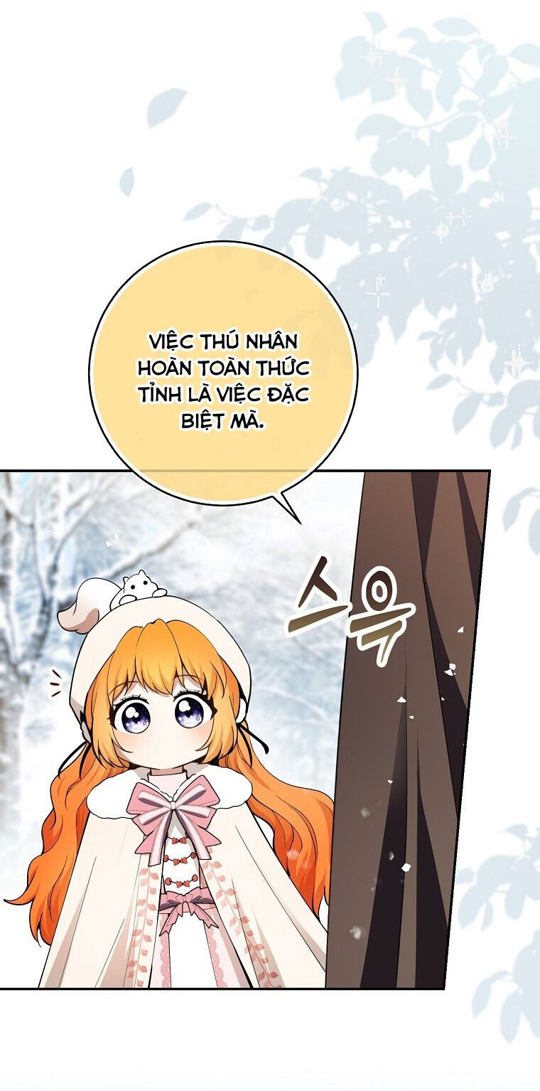 Sóc Con Tài Năng Chapter 62 - Trang 2