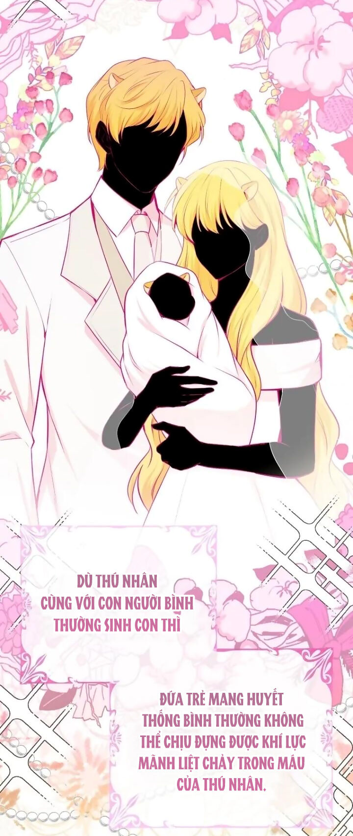 Sóc Con Tài Năng Chapter 64 - Trang 2