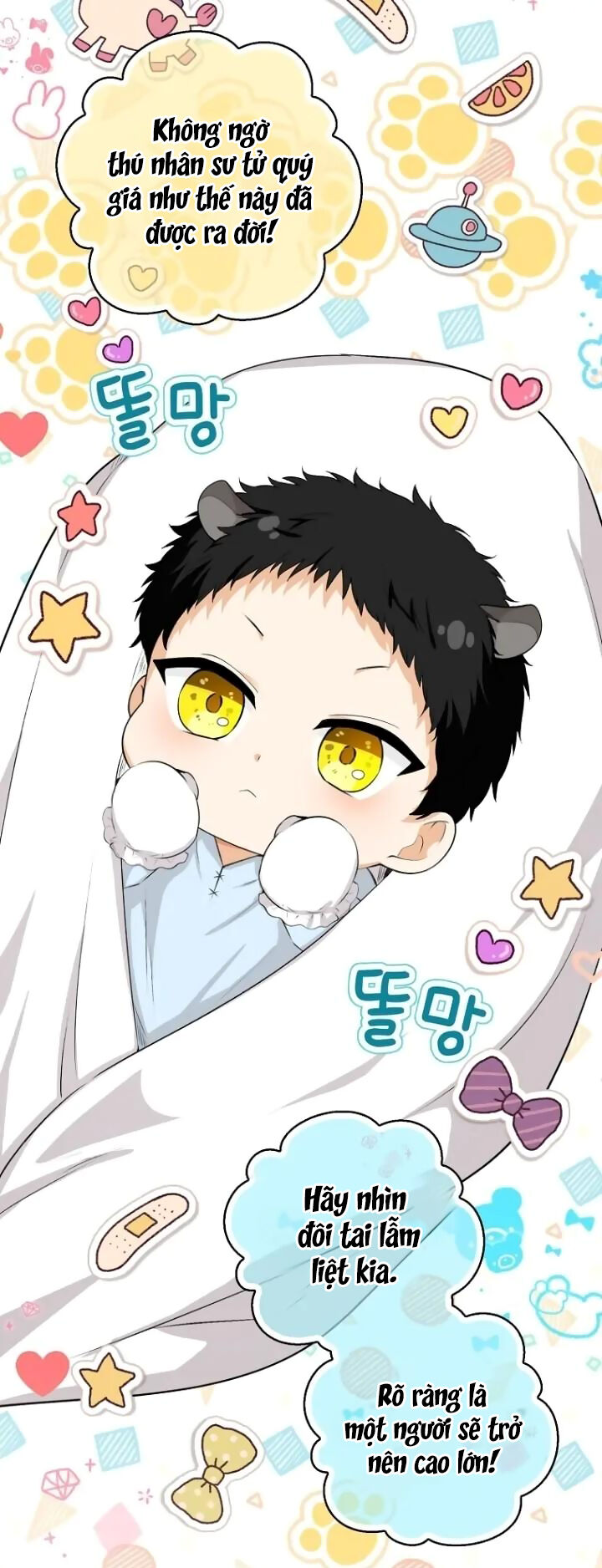 Sóc Con Tài Năng Chapter 64 - Trang 2