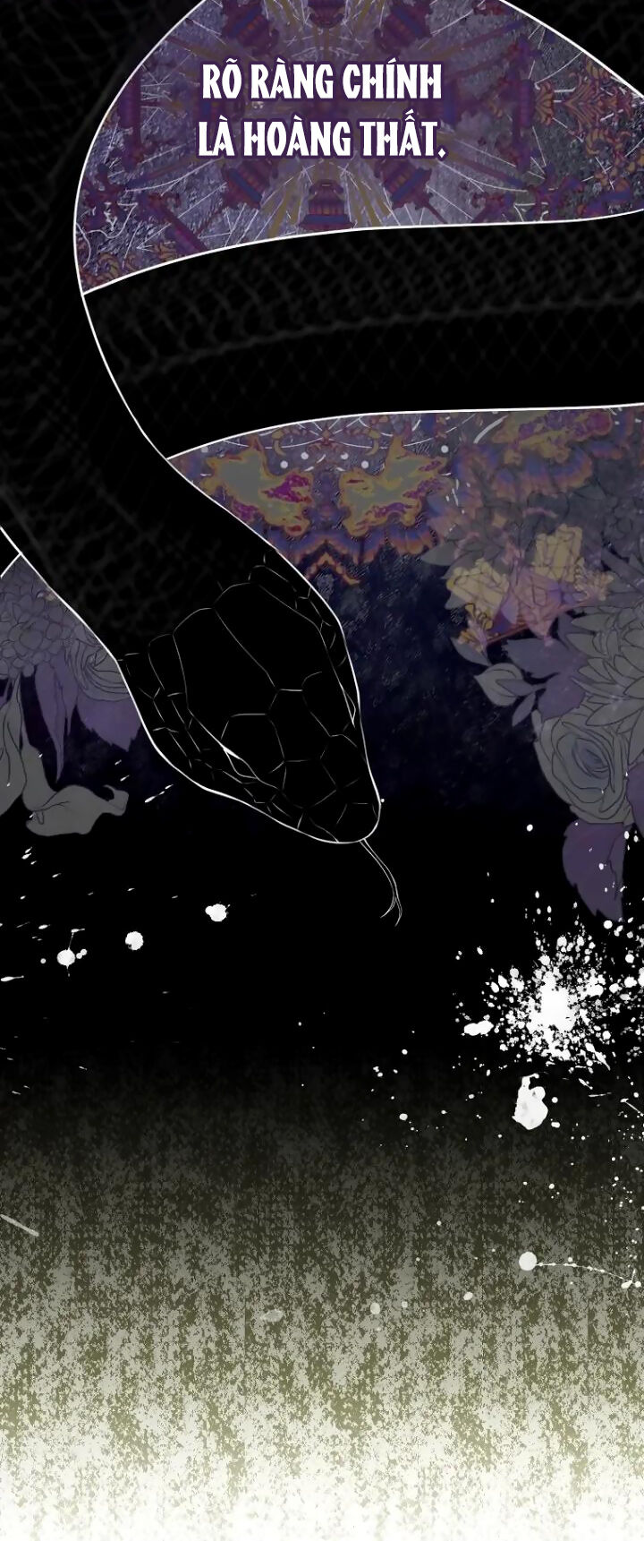 Sóc Con Tài Năng Chapter 64 - Trang 2