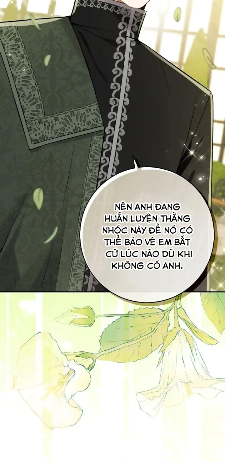 Sóc Con Tài Năng Chapter 64 - Trang 2