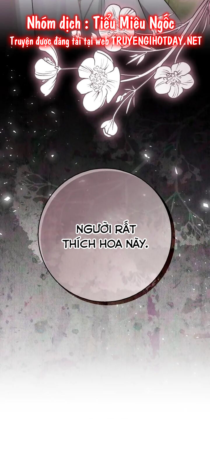 Sóc Con Tài Năng Chapter 64 - Trang 2