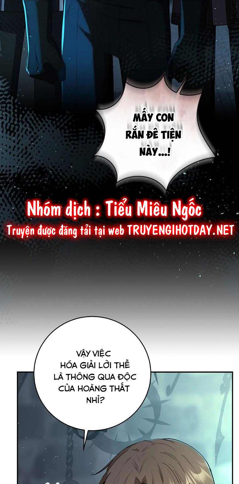 Sóc Con Tài Năng Chapter 66 - Trang 2