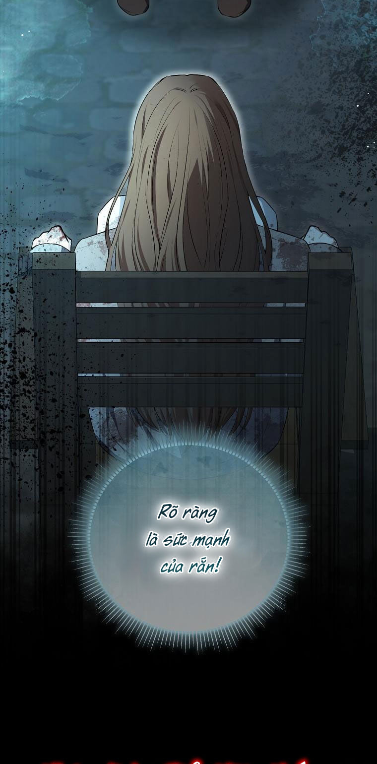 Sóc Con Tài Năng Chapter 66 - Trang 2