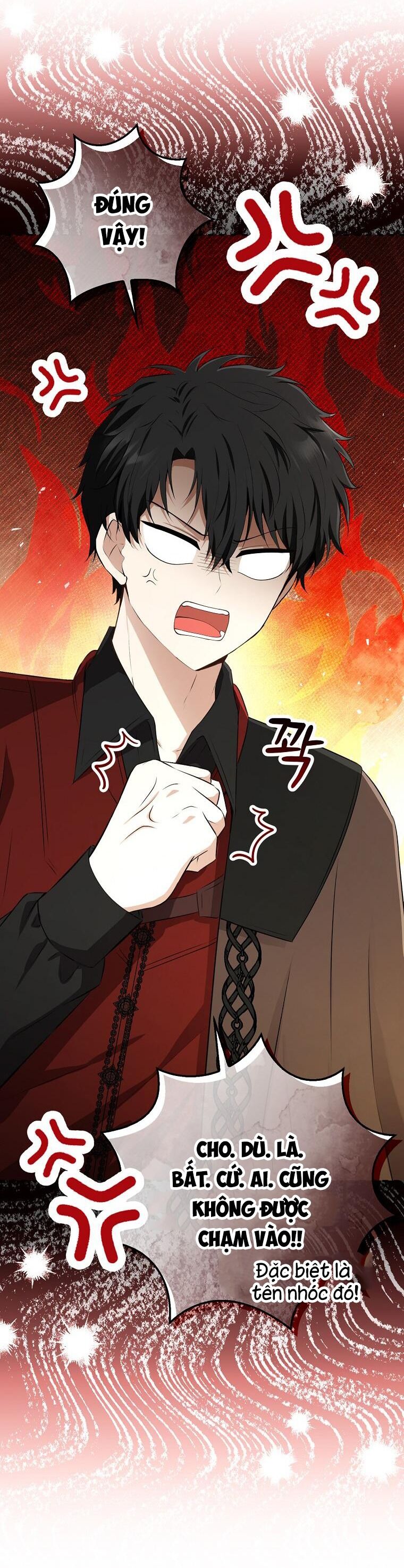 Sóc Con Tài Năng Chapter 67 - Trang 2