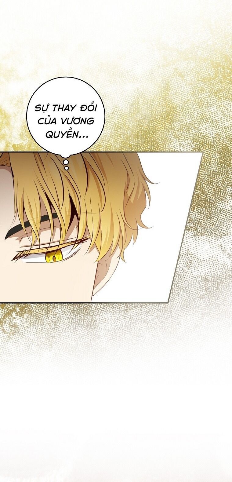 Sóc Con Tài Năng Chapter 70 - Trang 2