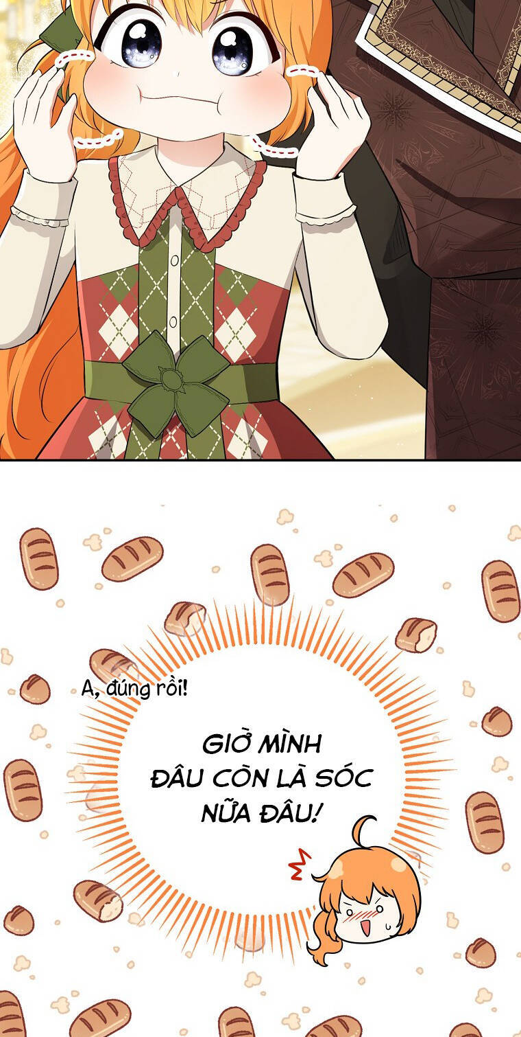 Sóc Con Tài Năng Chapter 72 - Trang 2