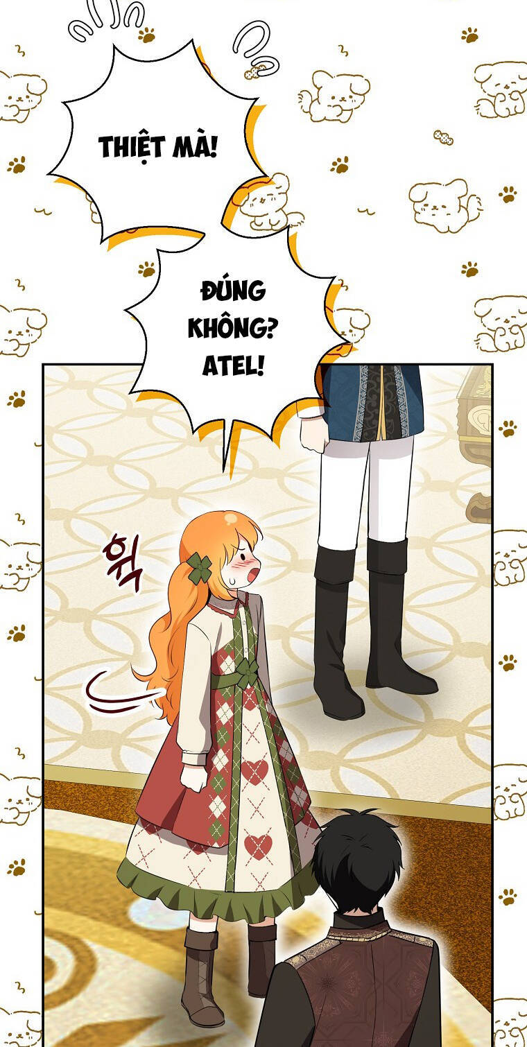 Sóc Con Tài Năng Chapter 72 - Trang 2