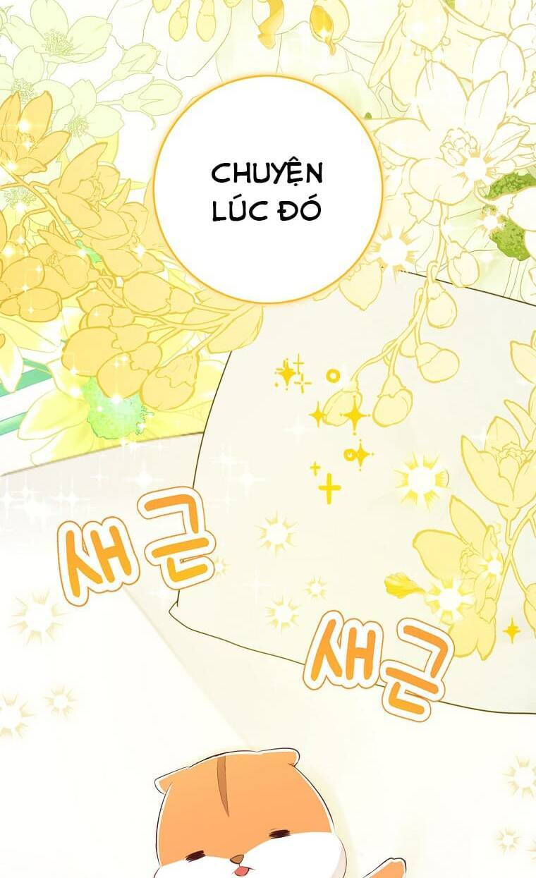 Sóc Con Tài Năng Chapter 72 - Trang 2