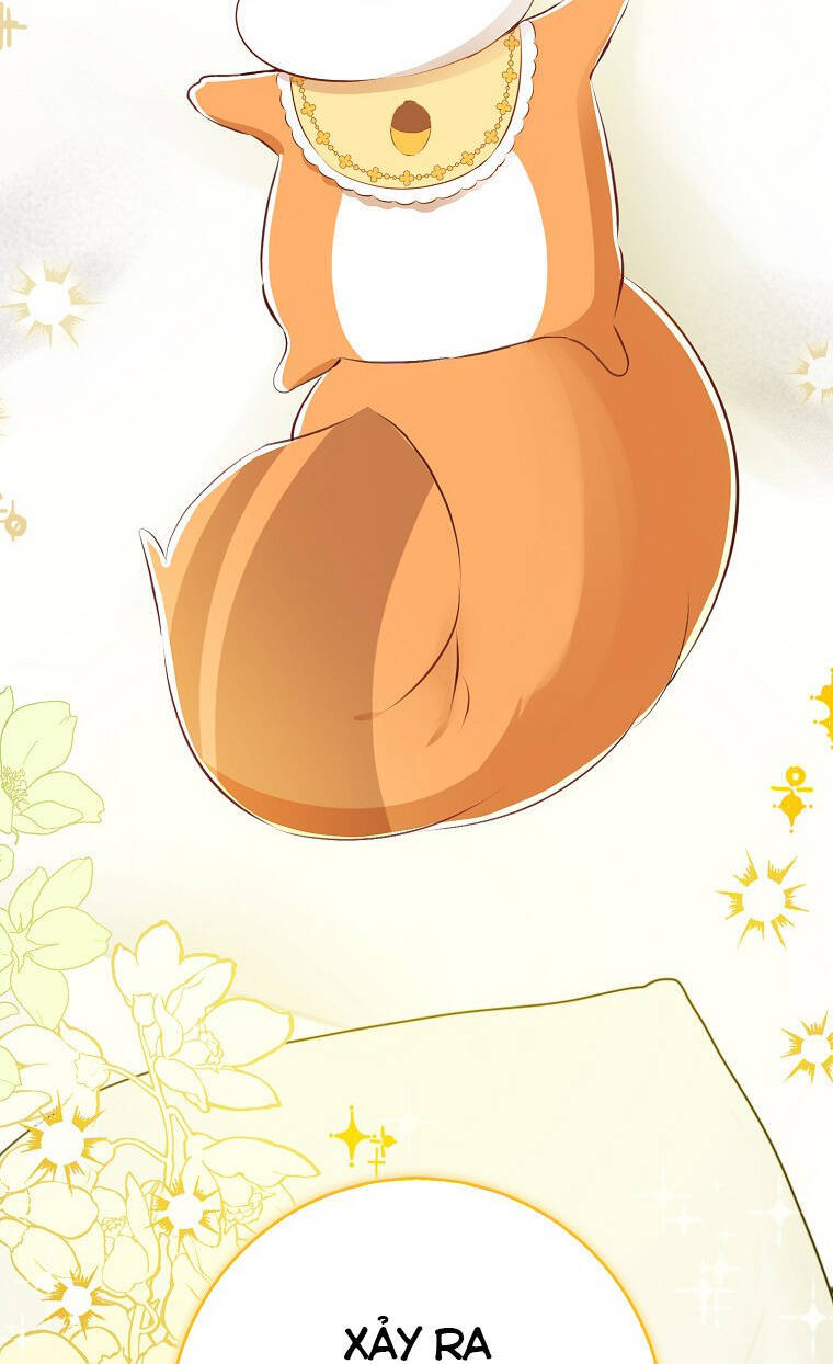 Sóc Con Tài Năng Chapter 72 - Trang 2