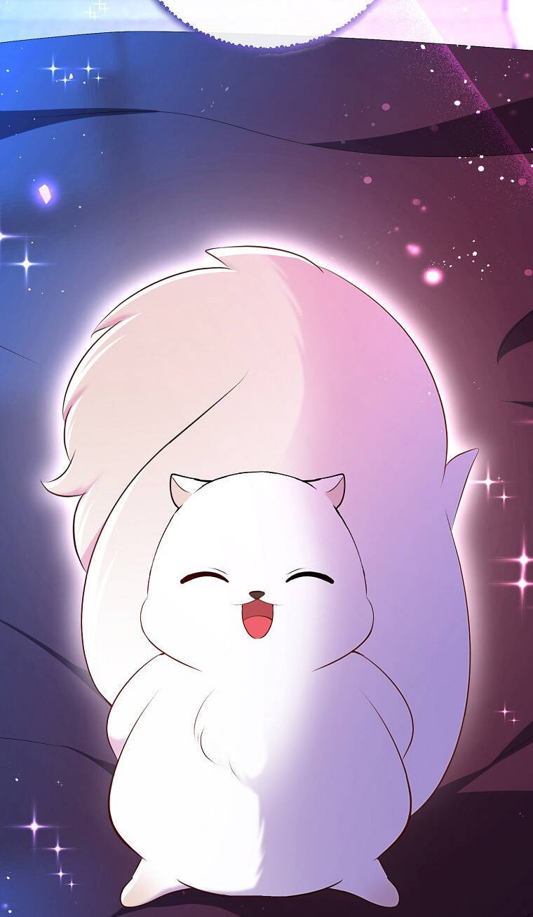 Sóc Con Tài Năng Chapter 73 - Trang 2