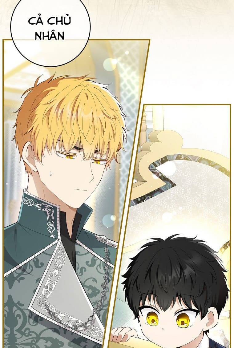 Sóc Con Tài Năng Chapter 73 - Trang 2