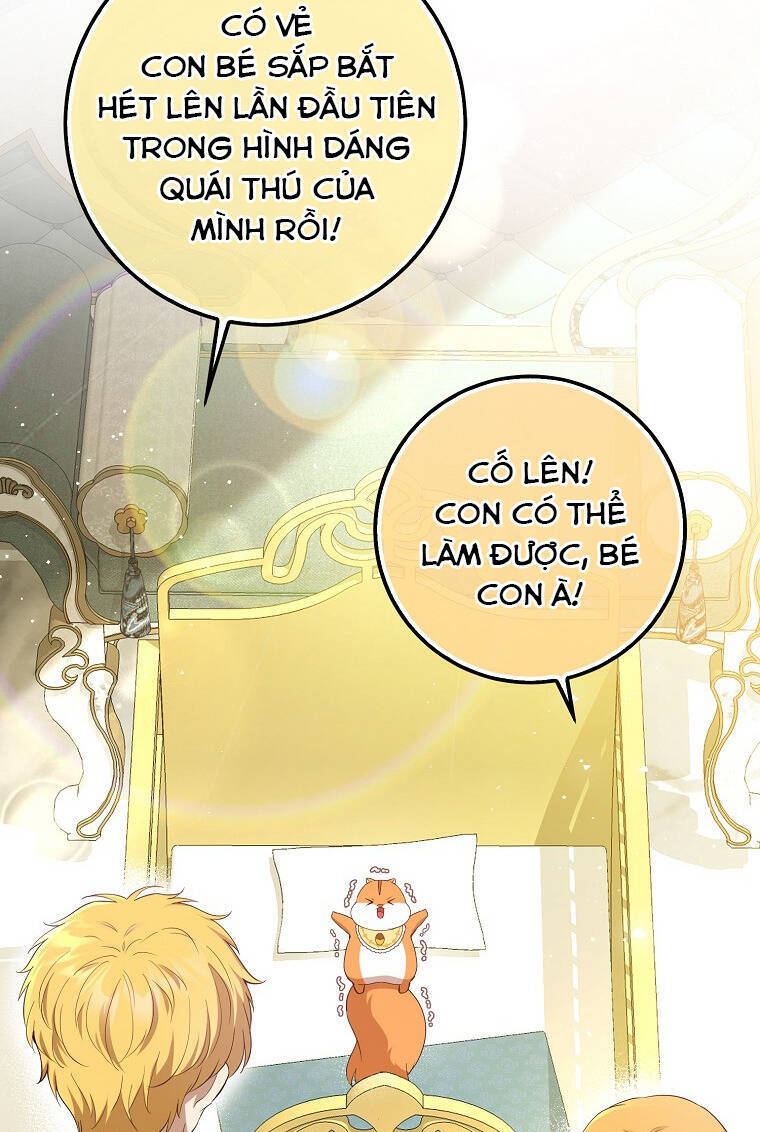 Sóc Con Tài Năng Chapter 73 - Trang 2