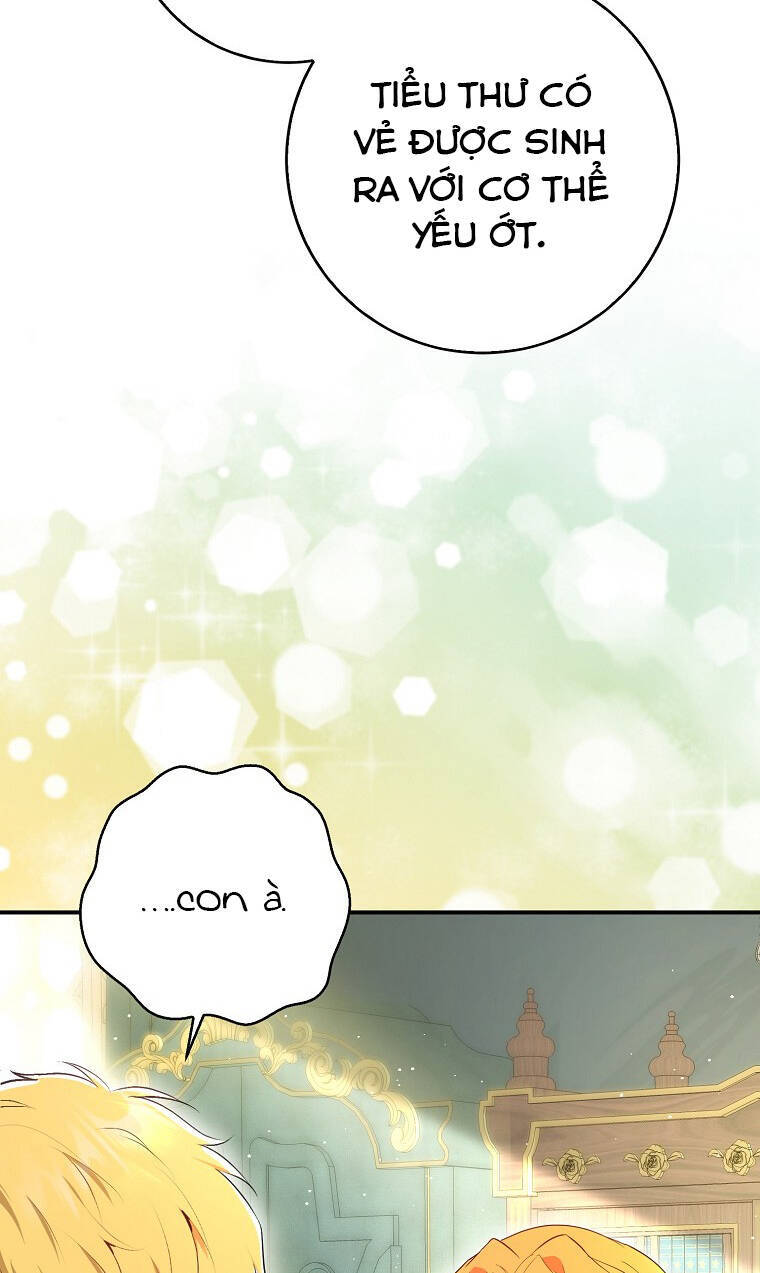 Sóc Con Tài Năng Chapter 73 - Trang 2